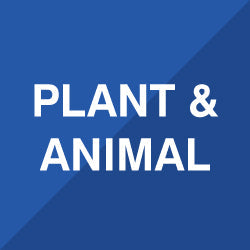 Plant & Animal