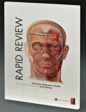 Rapid Review Anatomy Guide