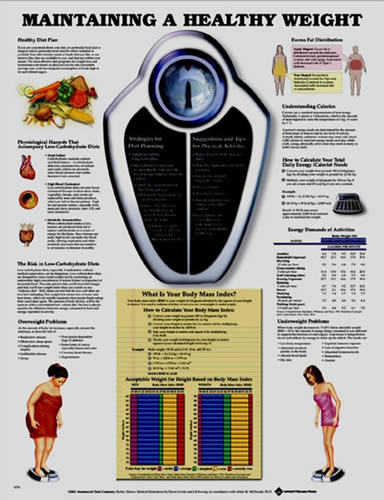 Maintaining A Healthy Weight
