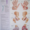 Understanding Arthritis