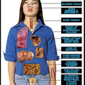 Harmful Effects Cocaine Chart
