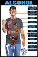 Harmful Effects Alcohol Chart