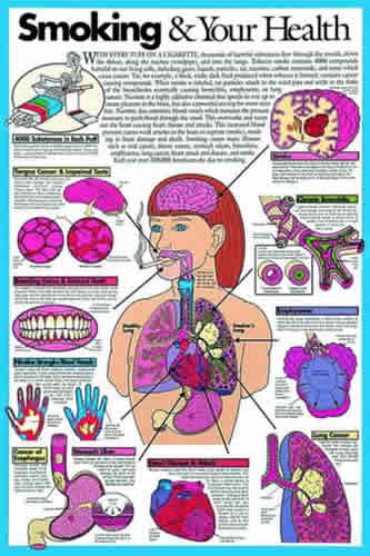 Smoking And Your Health