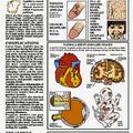 Syphilis Chart