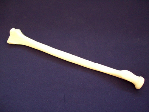 Radius