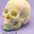 Miniature Skull