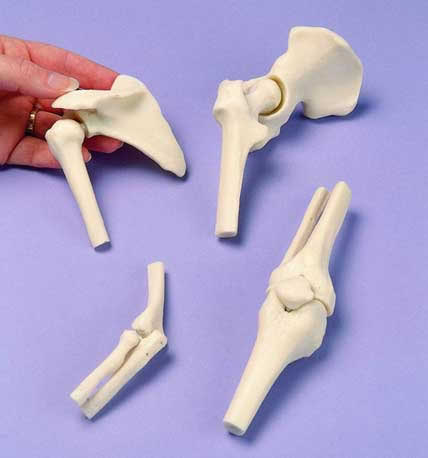 Miniature Joints, Set Of 4