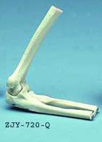 Elbow Joint Movable