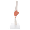 Elbow Joint Flexible