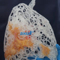 3D Printed COVID-19 Lungs Full Size Mesh