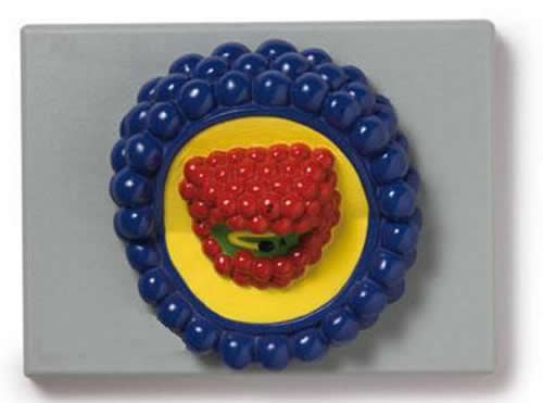 HIV Virus Model