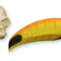 Rainforest Skull Kit