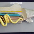 Fish Model