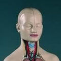 Head For Half Size Torso