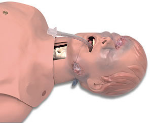 Airway Management Trainer Critical Adult