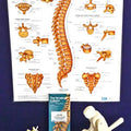 Manual Handling Kit - Basic