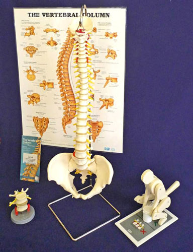 Manual Handling Kit - Intermediate