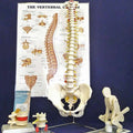 Manual Handling Kit - Deluxe
