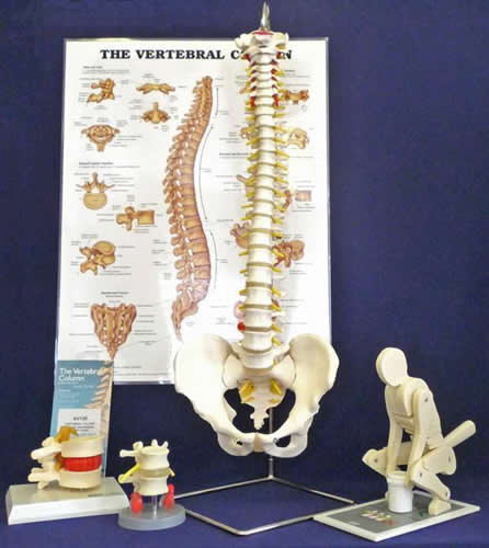 Manual Handling Kit - Deluxe