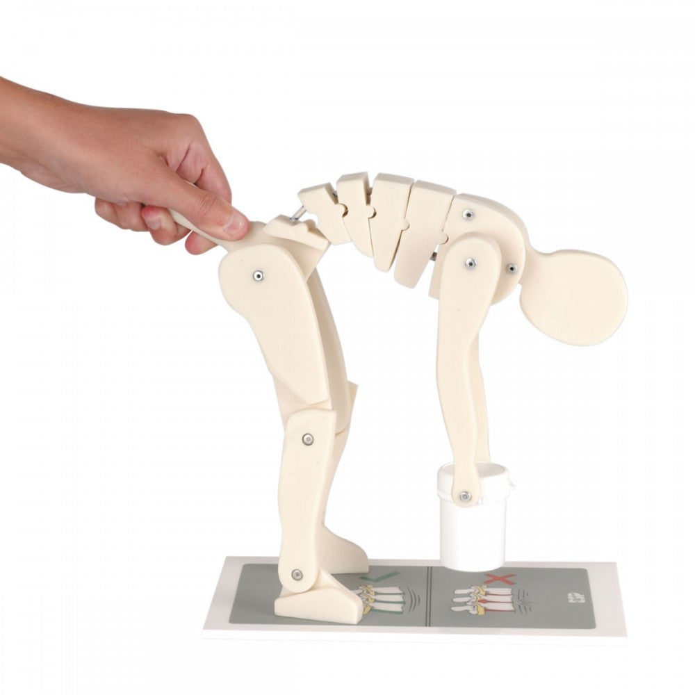 Lifting Manikin