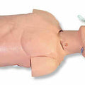 Airway Management Trainer Adult Torso