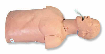 Airway Management Trainer Adult Torso