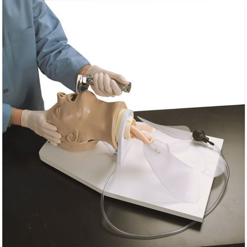 Airway Management Trainer Adult "Airway Larry"