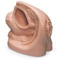 Female Catheterisation Model