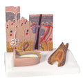 Skin Hairy & Hairless