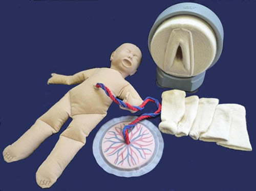 Tube Aid Vaginal Examination And Delivery Simulator