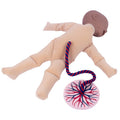 Foetal Doll With Placenta