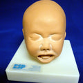 Foetal Head Simulator
