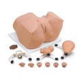 Gynaecology Manikin