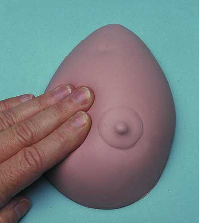 Breast Awareness Model White