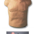 CPR Manikin Economical Brad