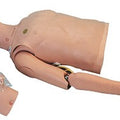ALS Trainer Adult Torso
