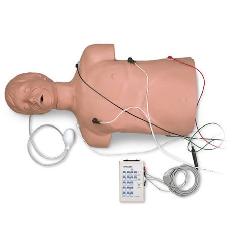 Defibrillation/CPR Training Manikin