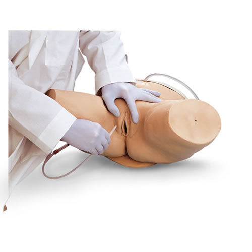 Female Catheterization Simulator