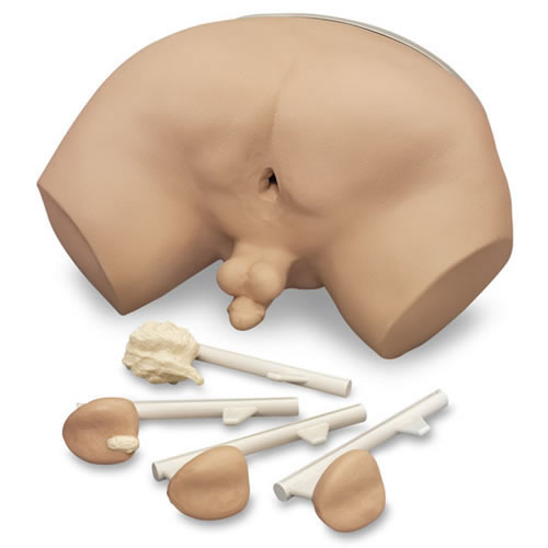Prostate Examination Simulator