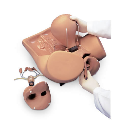 ZOE Gynecologic Simulator
